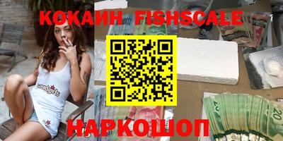 гашик Кингисепп