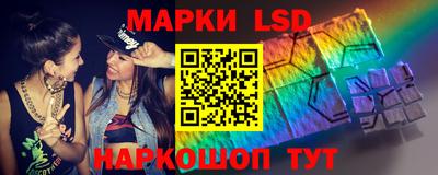 гашик Кингисепп