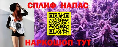 гашик Кингисепп
