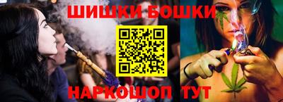 гашик Кингисепп