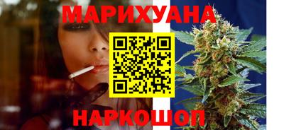 гашик Кингисепп