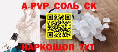 гашик Кингисепп