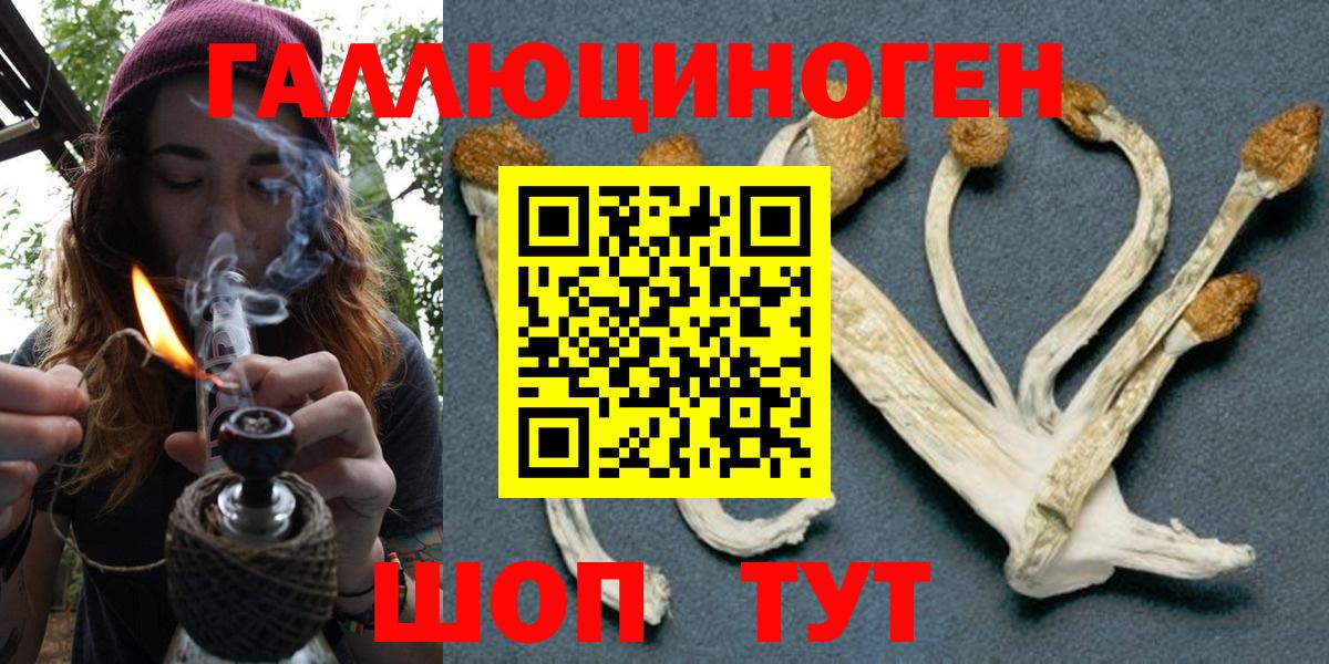 Псилоцибиновые грибы MAGIC MUSHROOMS  Вход с VPN  Туймазы 