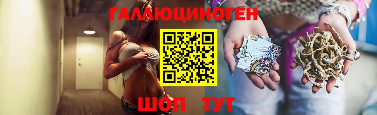 Галлюциногенные грибы Psilocybe Туймазы
